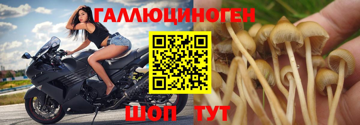 Галлюциногенные грибы Cubensis  Вход с VPN  Галлюциногенные грибы MAGIC MUSHROOMS  Пенза 